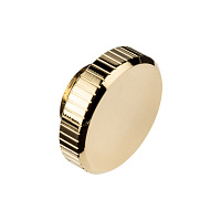 EK-Quantum Torque Plug - Gold
