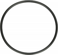 EK-D5 Pump O-Ring