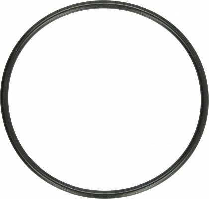 EK-D5 Pump O-Ring